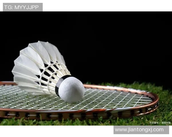 从零基础到高手之路羽毛球意识与技巧全方位提升指南MBA 从零基础到高手之路羽毛球意识与技巧全方位提升指南MBA
