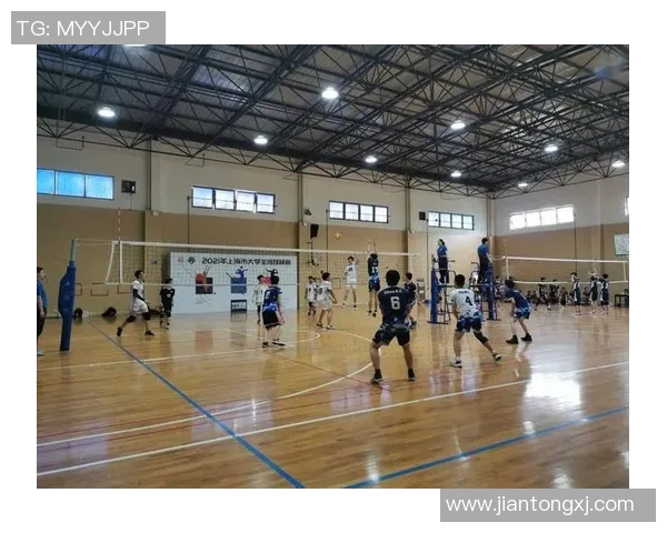 上海排球队在杯赛中的状态分析与表现评估